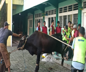 Idul Adha 1447